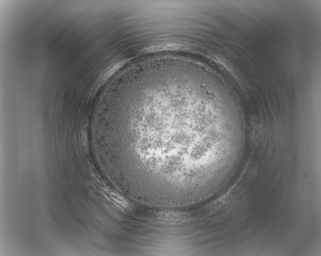 X0000059820921200510211143