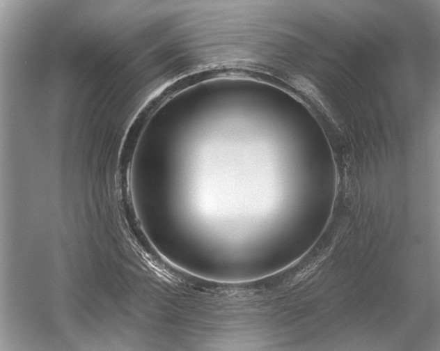 X0000059820924200510211143