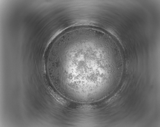 X0000059820925200510211143