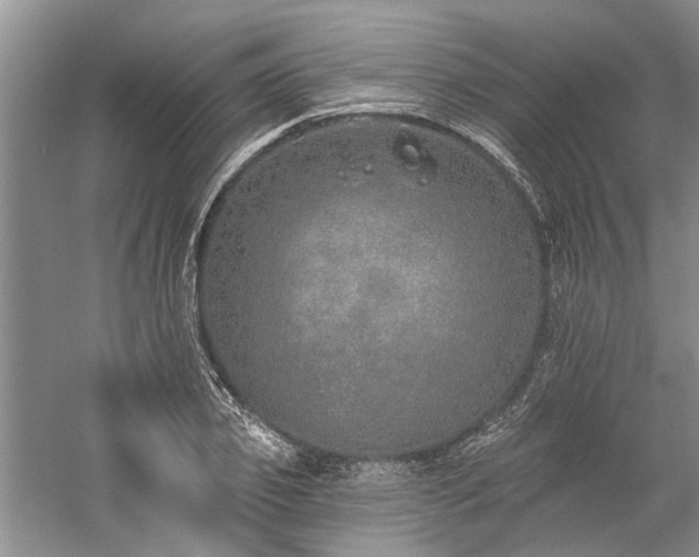 X0000059820933200510211143