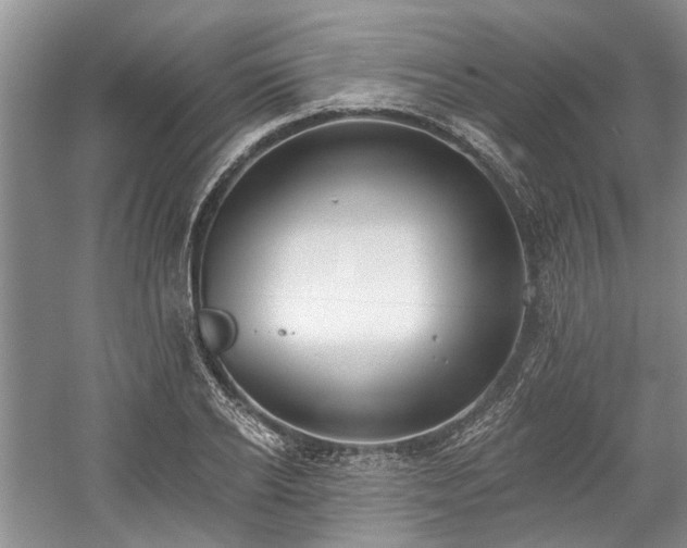 X0000059820934200510211143