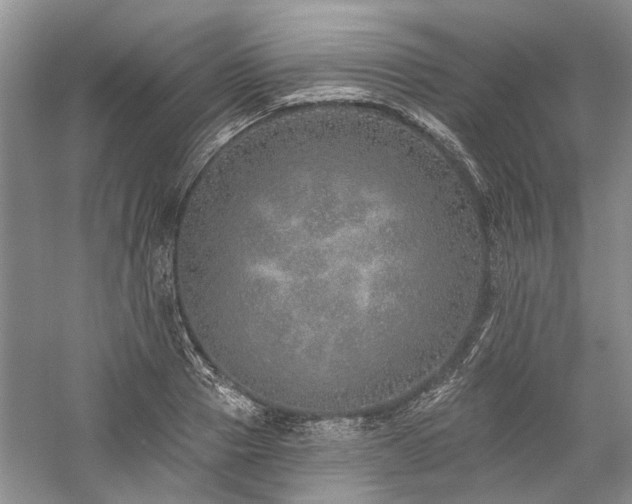 X0000059820937200510211143