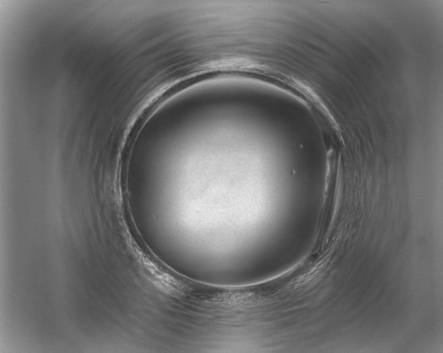 X0000059820939200510211143