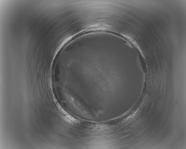 X0000059820941200510211143