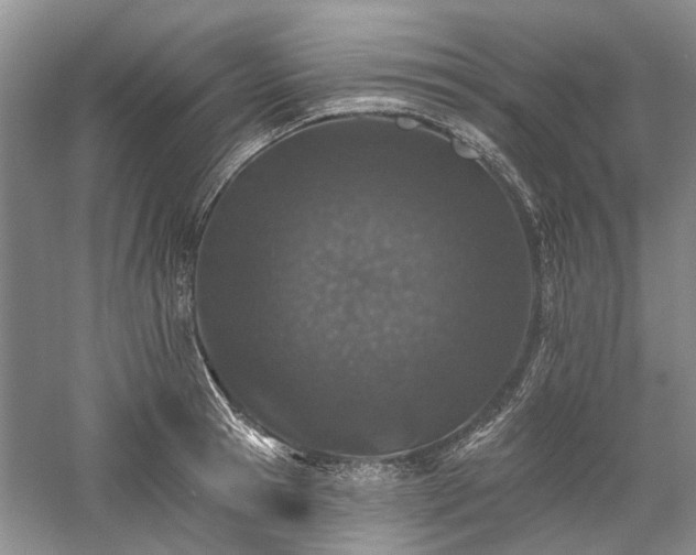 X0000059820945200510211143