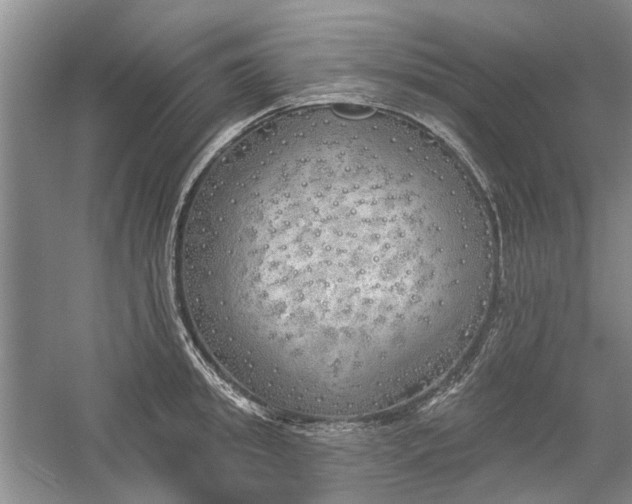 X0000059820949200510211143