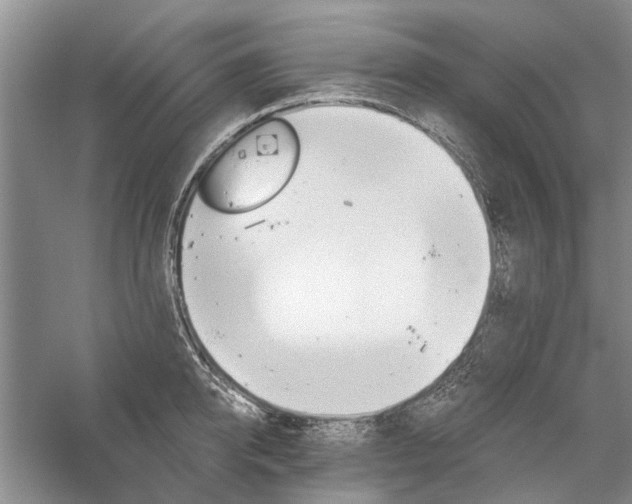 X0000059820950200510211143