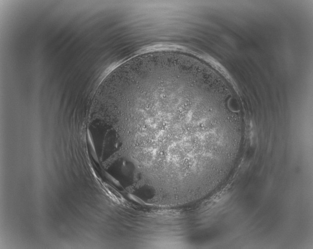 X0000059820953200510211143