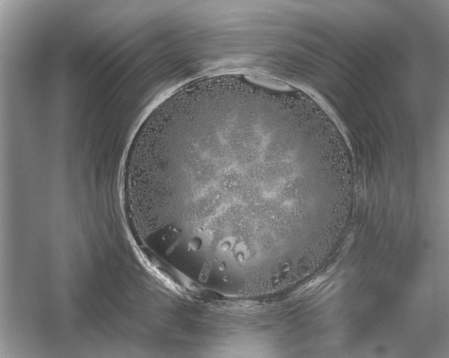 X0000059820957200510211143