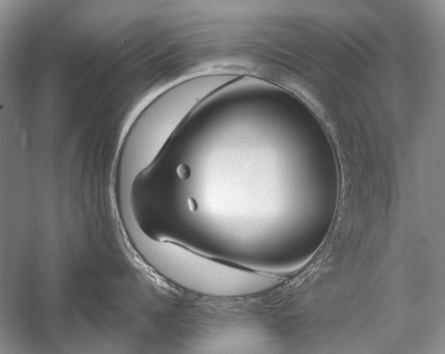 X0000059820960200510211143