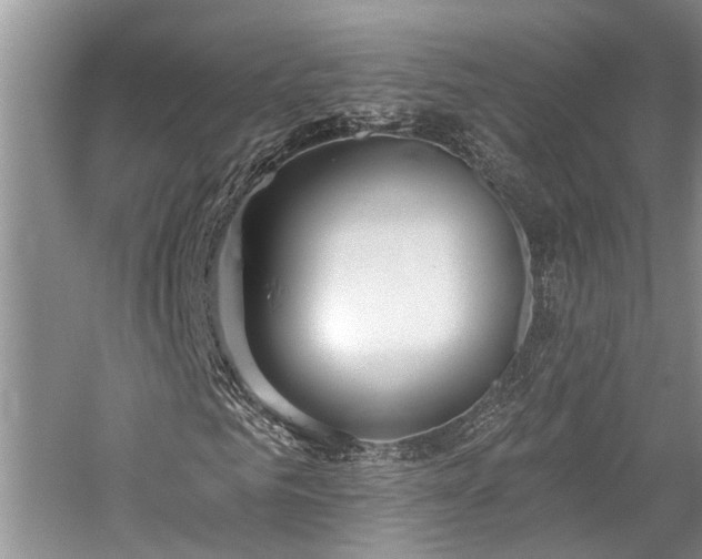 X0000059820961200510211142