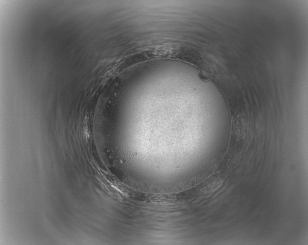 X0000059820962200510211142