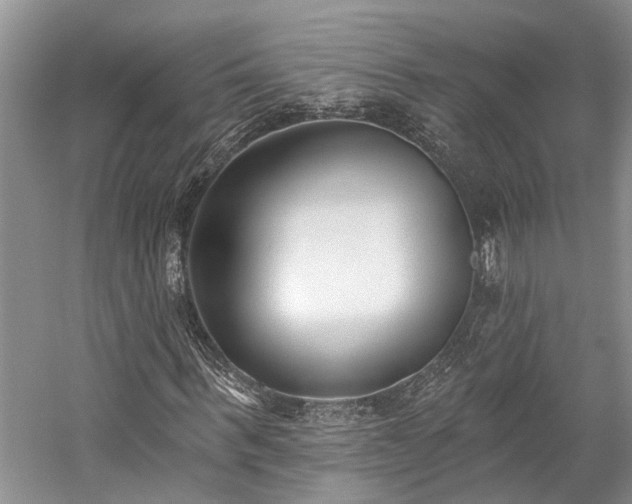 X0000059820963200510211142