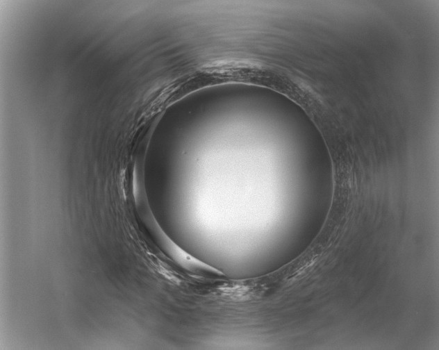 X0000059820965200510211142