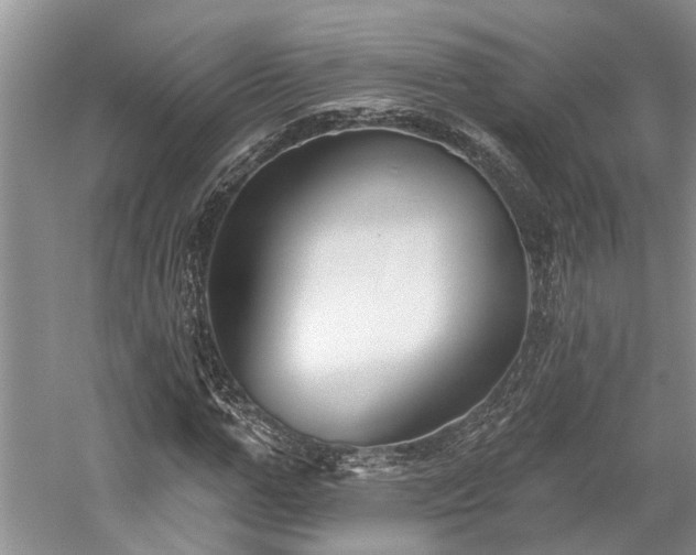 X0000059820967200510211142