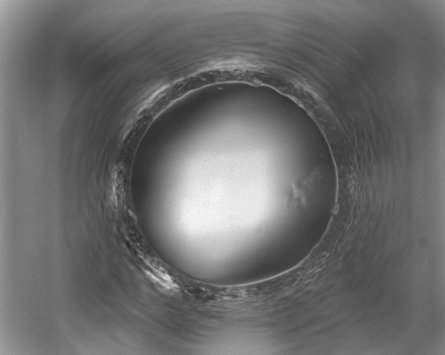 X0000059820968200510211142