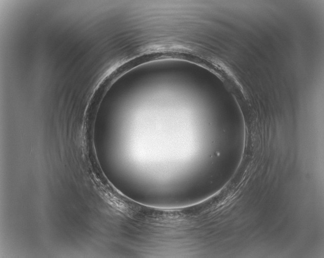 X0000059820975200510211142