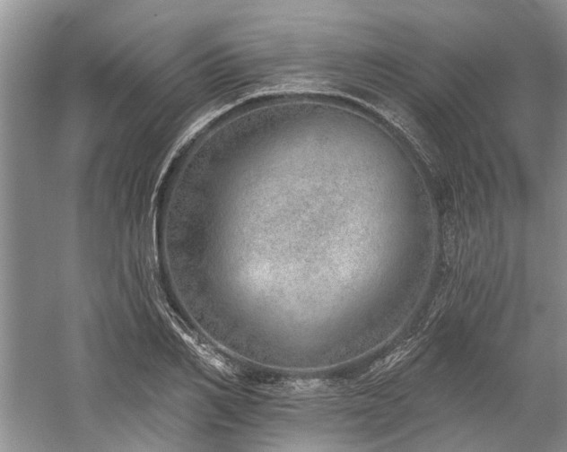 X0000059820982200510211142