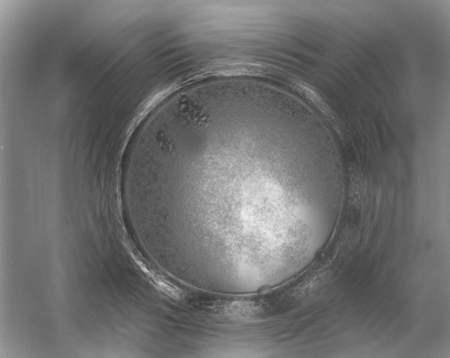 X0000059820986200510211142