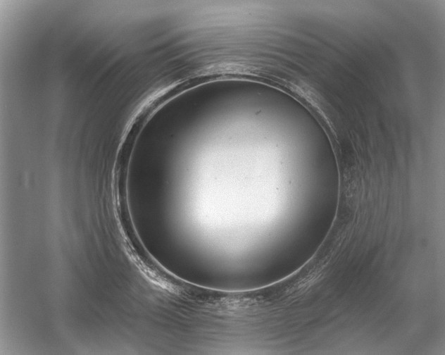 X0000059820987200510211142