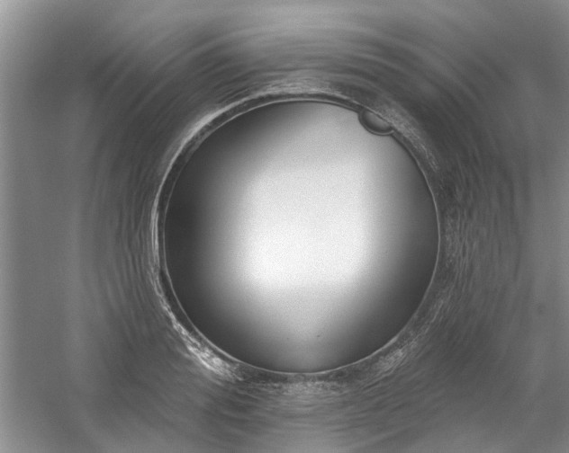 X0000059820988200510211142