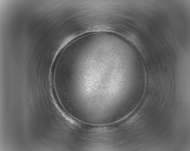 X0000059820990200510211142