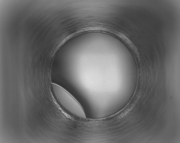 X0000059820993200510211142