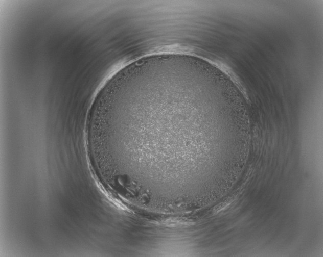 X0000059820998200510211142