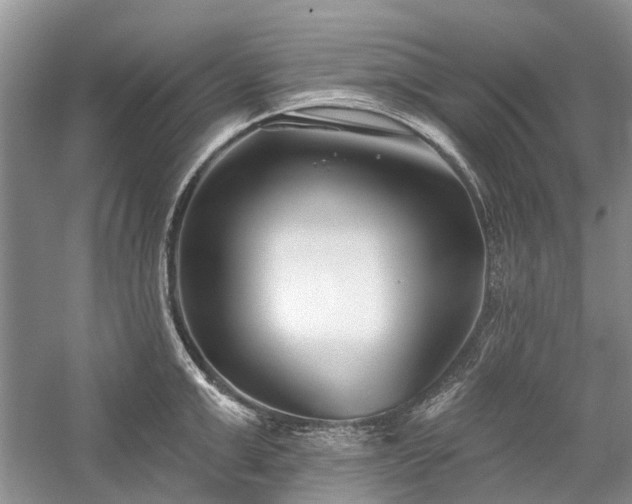 X0000059820999200510211142