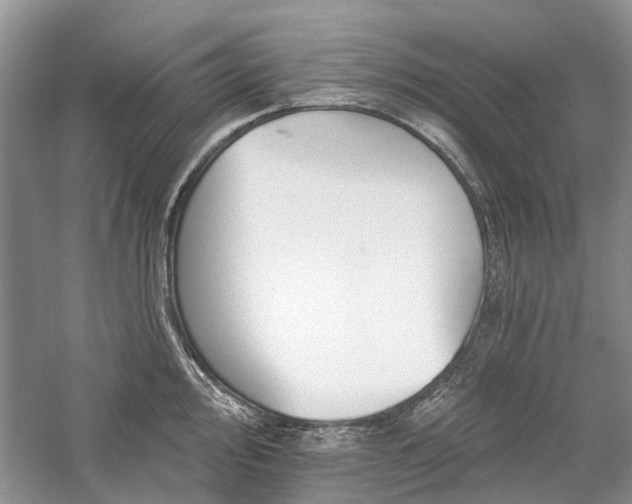 X0000059821000200510211142