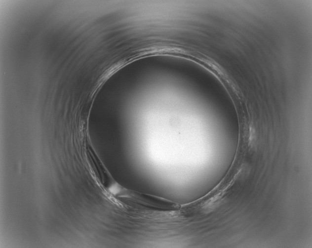 X0000059821001200510211142