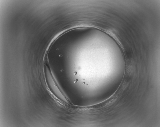 X0000059821004200510211142