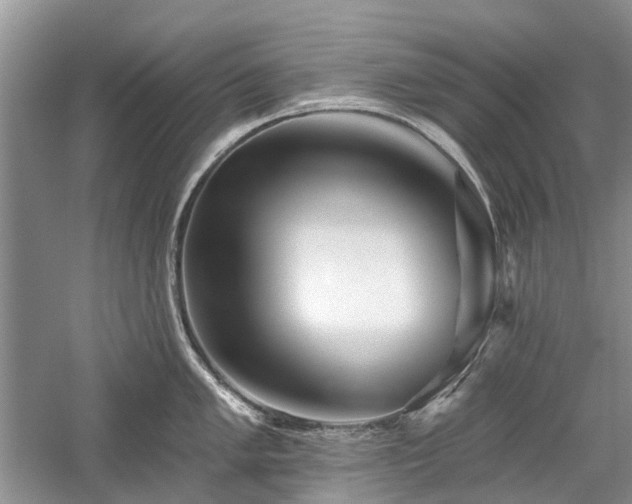 X0000059821005200510211142