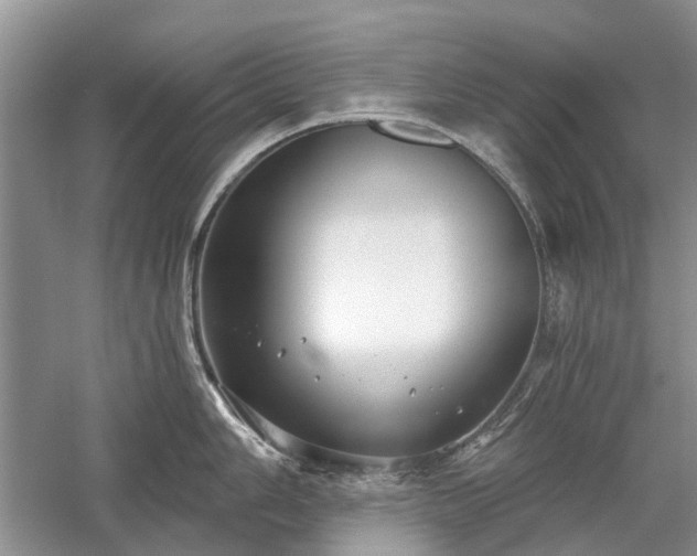 X0000059821006200510211142