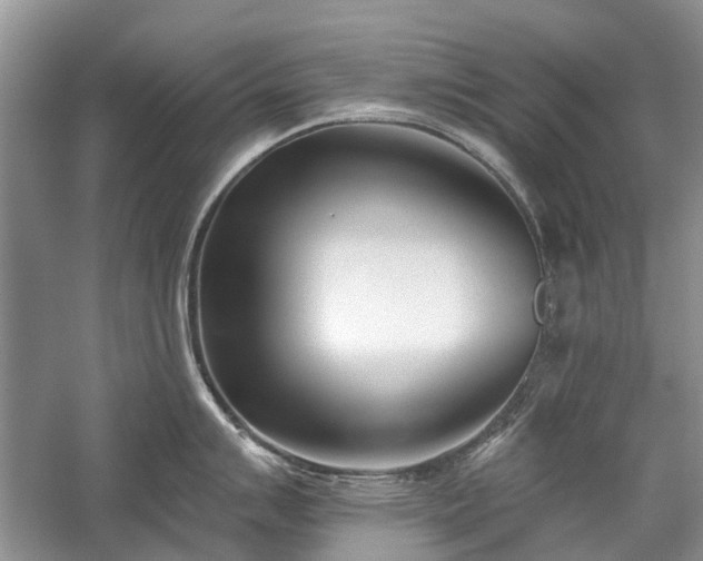 X0000059821007200510211142