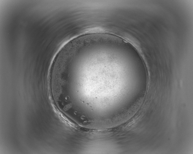 X0000059821008200510211142