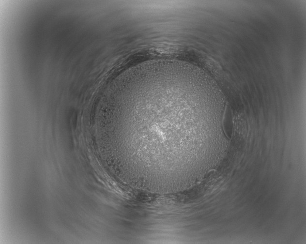 X0000059821009200510211141