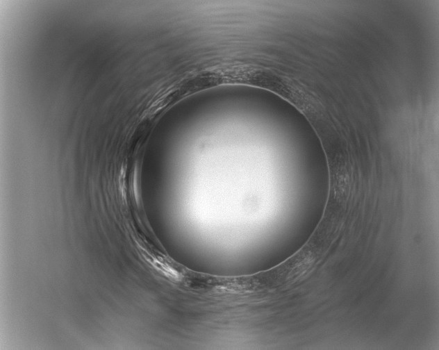 X0000059821010200510211141