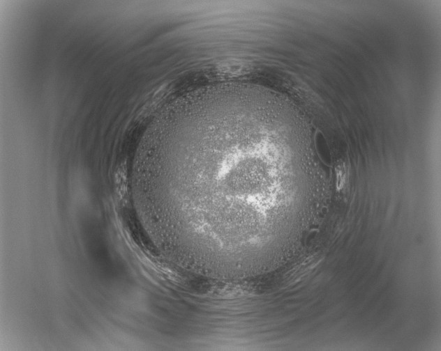 X0000059821011200510211141