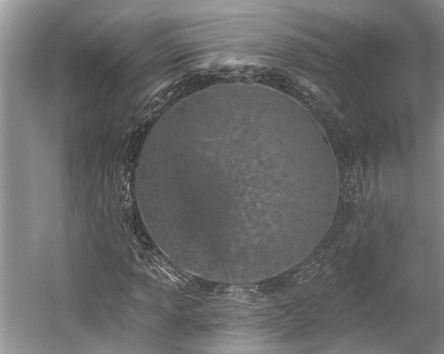 X0000059821013200510211141