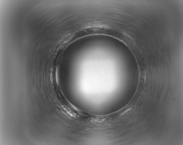 X0000059821014200510211141