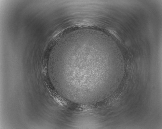 X0000059821015200510211141