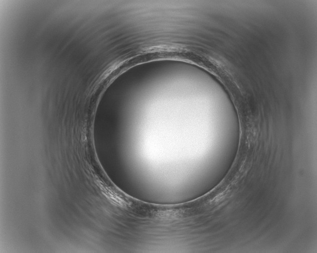 X0000059821017200510211141