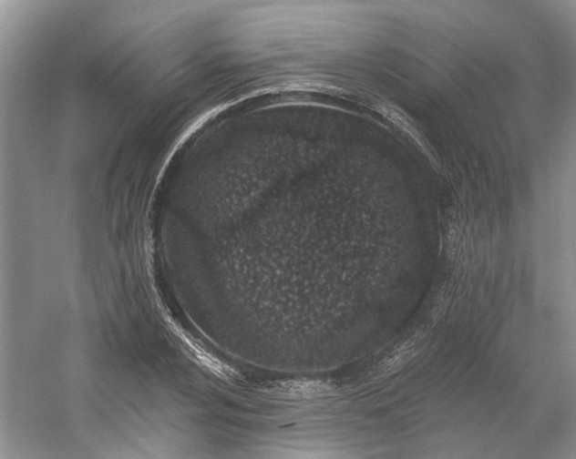 X0000059821024200510211141