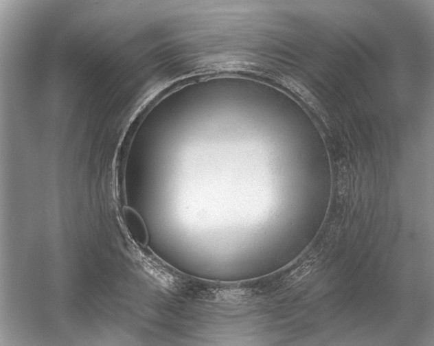 X0000059821031200510211141