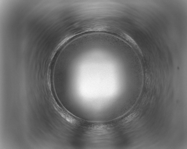 X0000059821035200510211141