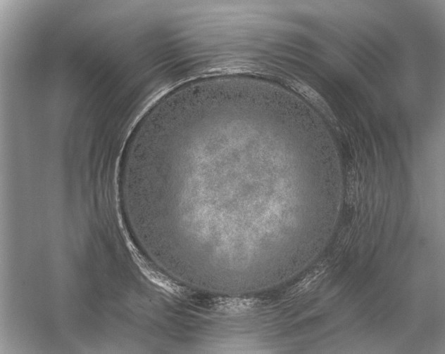 X0000059821039200510211141