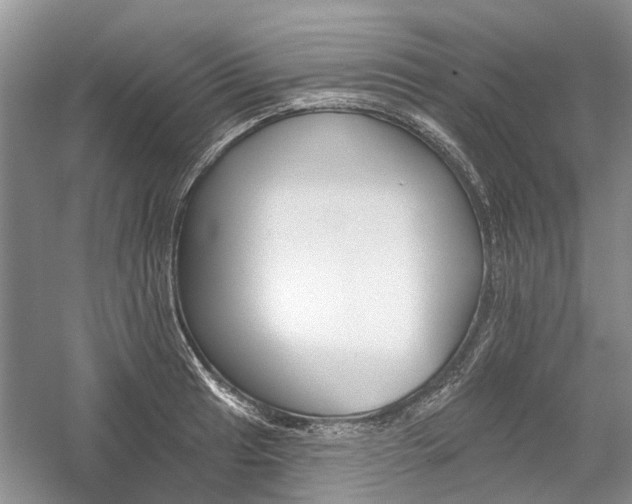 X0000059821041200510211141