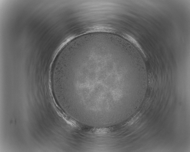 X0000059821043200510211141