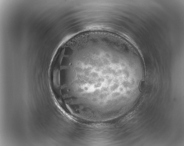 X0000059821045200510211141